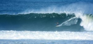 Kauai Surf Rentals